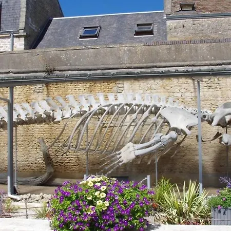 A 100m De La Luc-sur-Mer