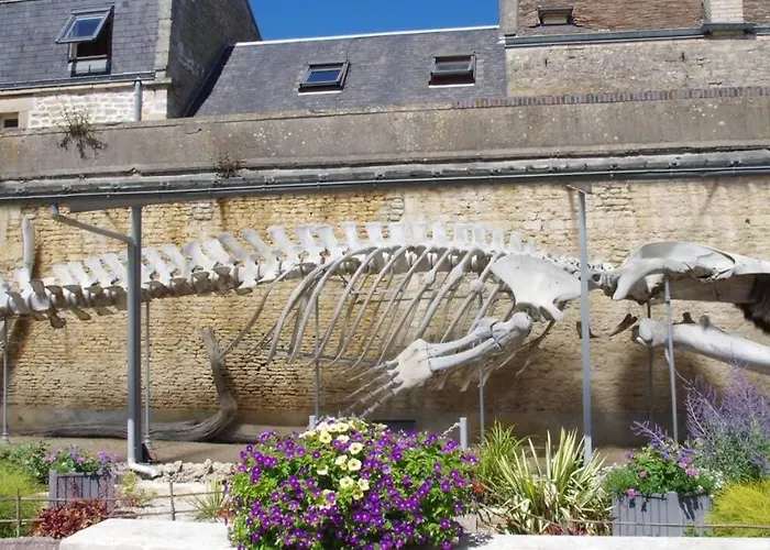 à 100m De La Luc-sur-Mer